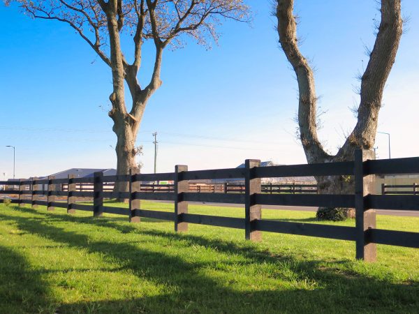 3 Rail - Spotted Gum - Acreline Timber Fencing
